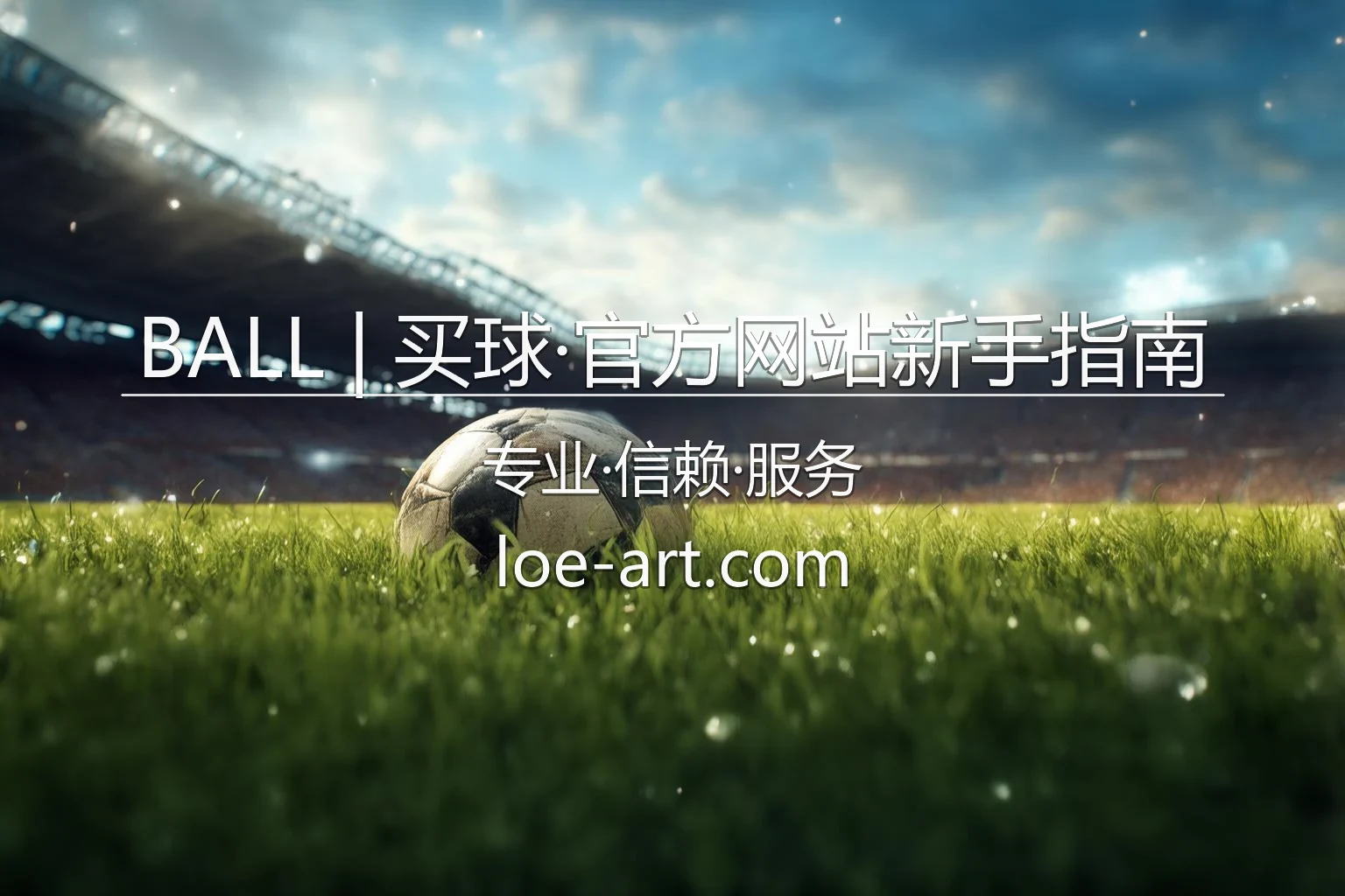 BALL 买球官方网站新手指南英雄图